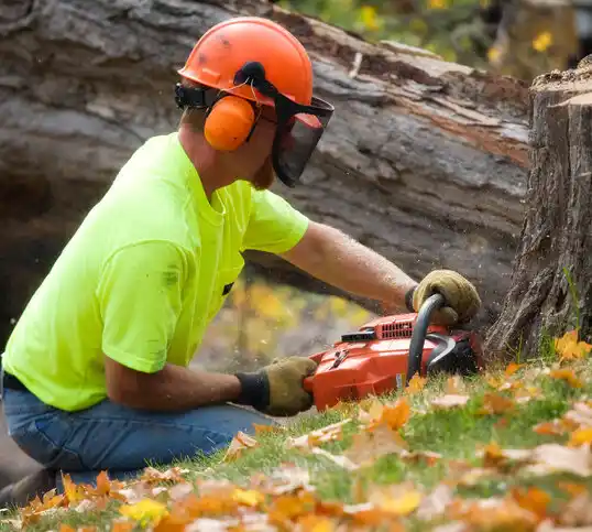 tree services Manteo